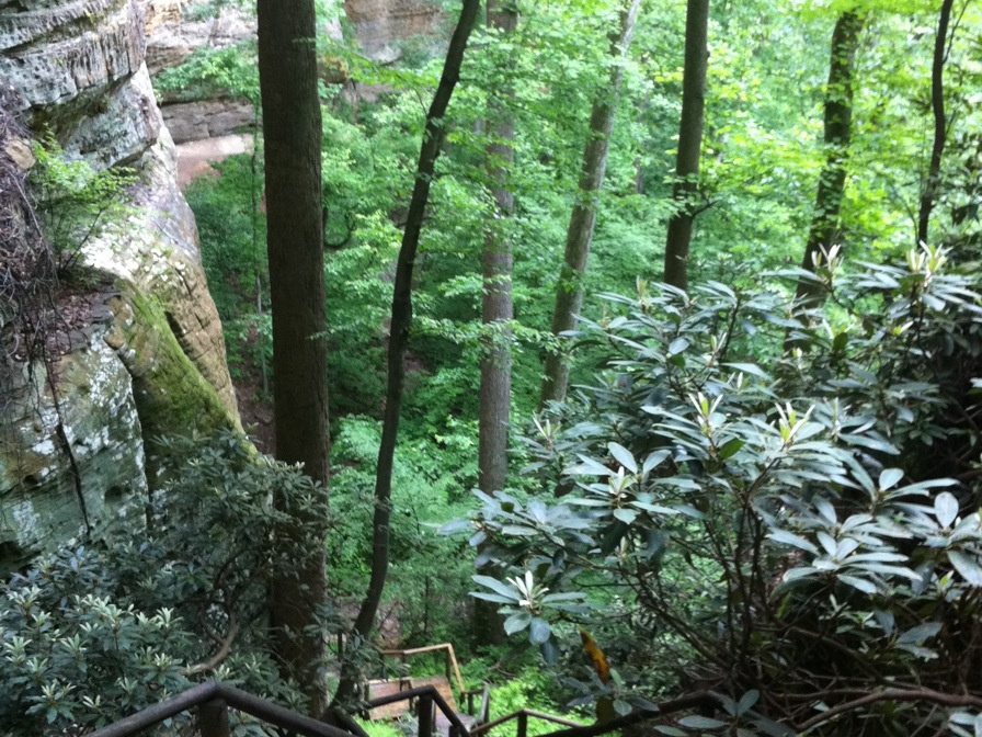 Red River Gorge Thunderstorm - 2